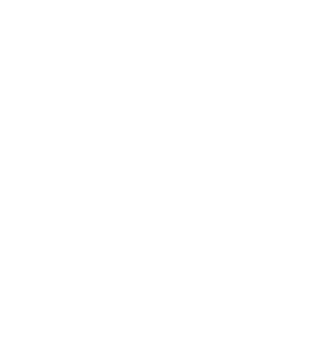 EVELI